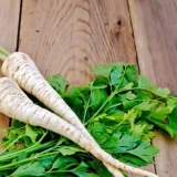 Celer i peršun: razlike